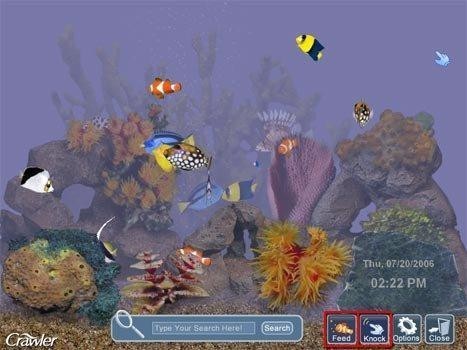 computer aquarium screensaver