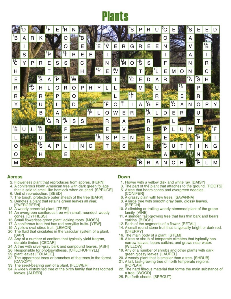 crossword forge 7.3 keygen