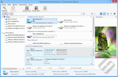 Hetman Partition Recovery 4.8 download the new version