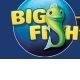 can you play a game on big fish game manager while downloading a game