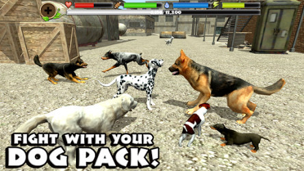 stray dog simulator online