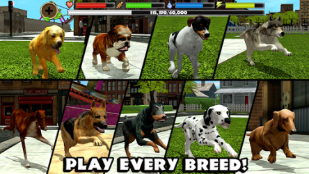 stray dog simulator download
